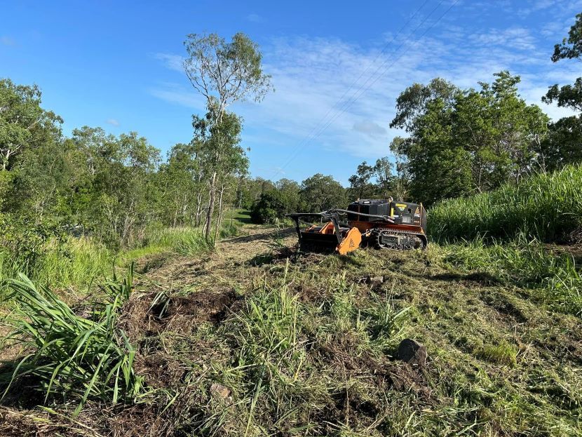 A Tractor is Cutting Grass in a Field With Trees — NQ Steep Terrain Mulching and Clearing in The Leap, QLD