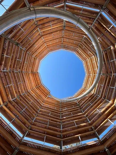 Looking up into a wooden structure with a blue sky in the background.