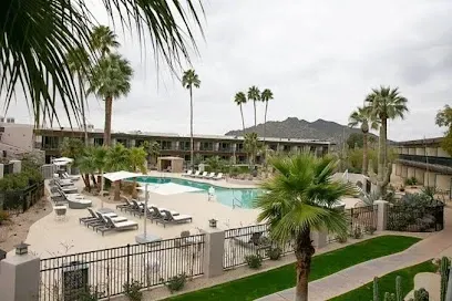 A large swimming pool surrounded by palm trees and chairs