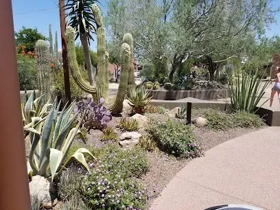 A woman is walking down a sidewalk in a park surrounded by cactus and flowers.