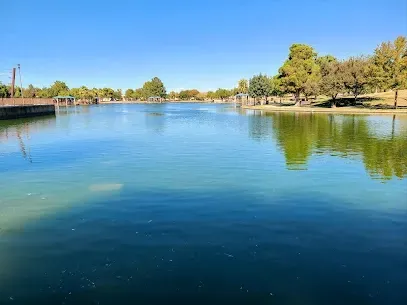 A large body of water surrounded by trees on a sunny day.
