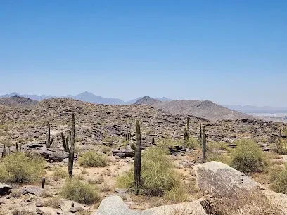 a desert landscape with cactus , rocks , and mountains in the background .