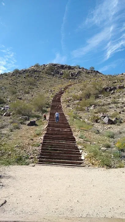 A person is walking up a set of stairs leading up to a hill.