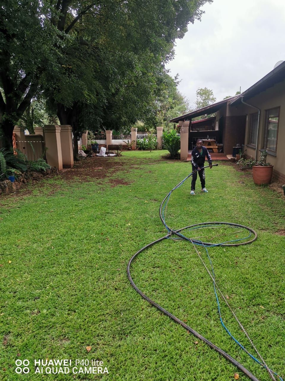 A man is using a hose to water a lush green lawn in front of a house.