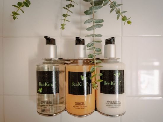 Three bottles of lotion are hanging on a wall next to a plant.