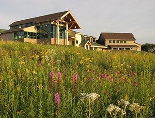 A large building is sitting in the middle of a field of flowers.