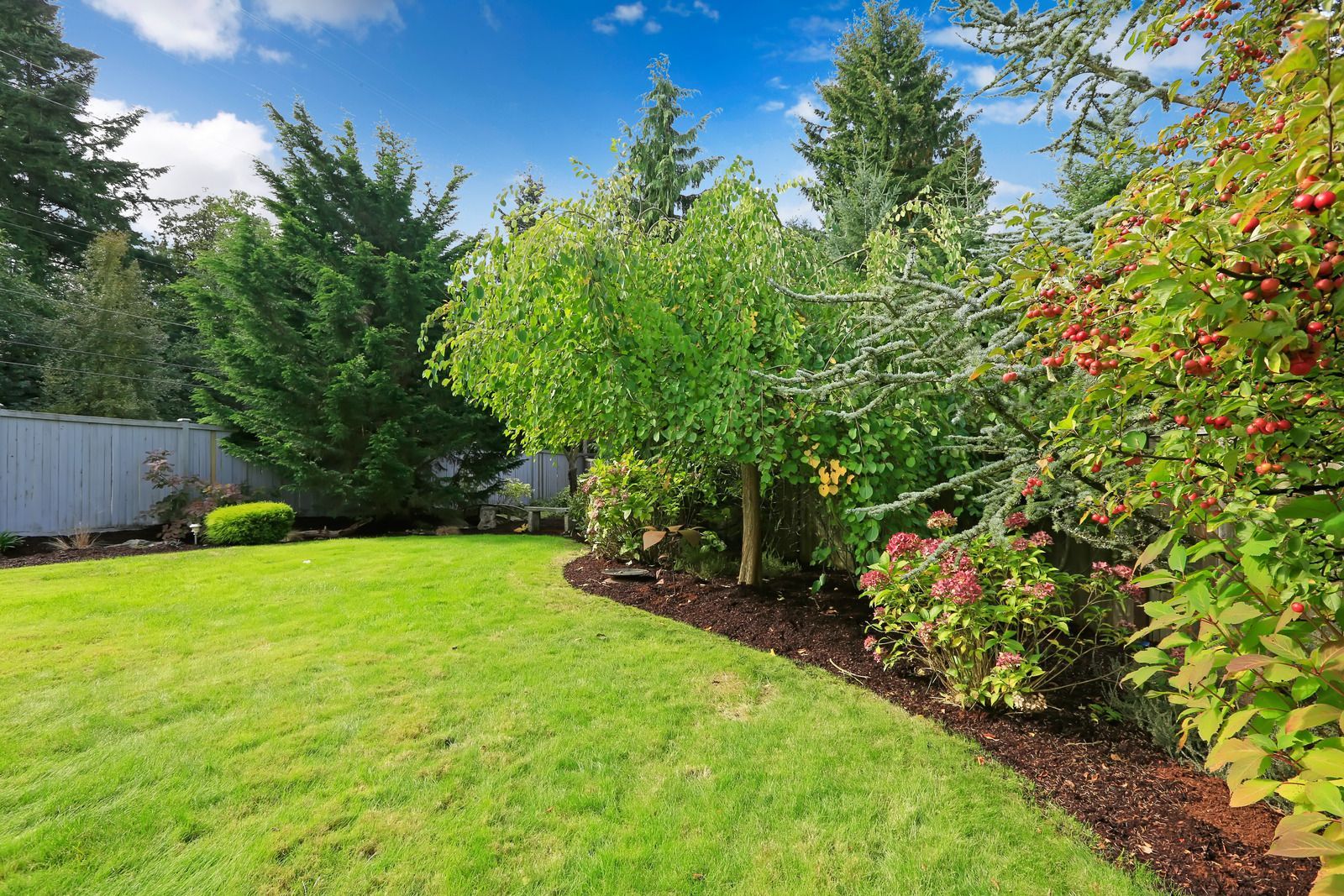 T&B Landscapes - Top Rated Landscape Maintenance & Landscape ...