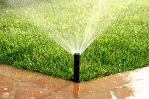A sprinkler is spraying water on a lush green lawn.