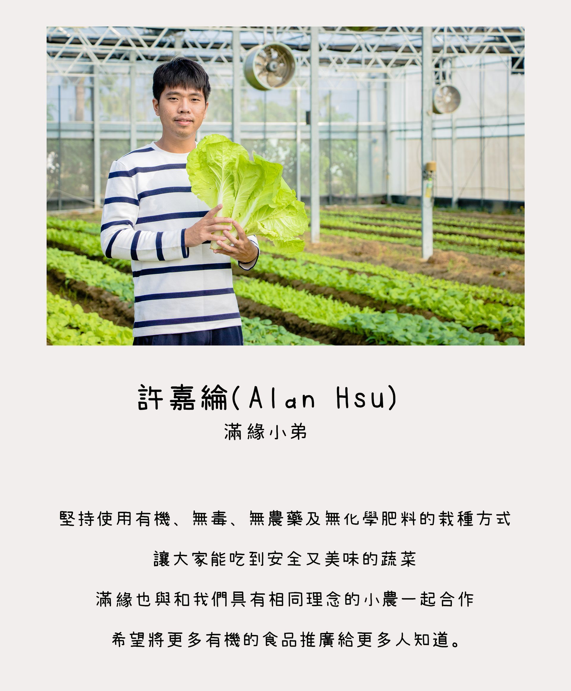 A man in a striped shirt is holding a lettuce leaf in a greenhouse.