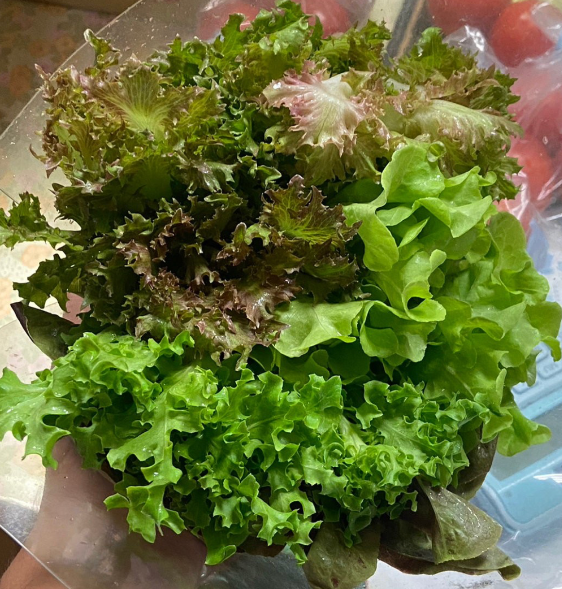 滿緣無毒生菜組-180G