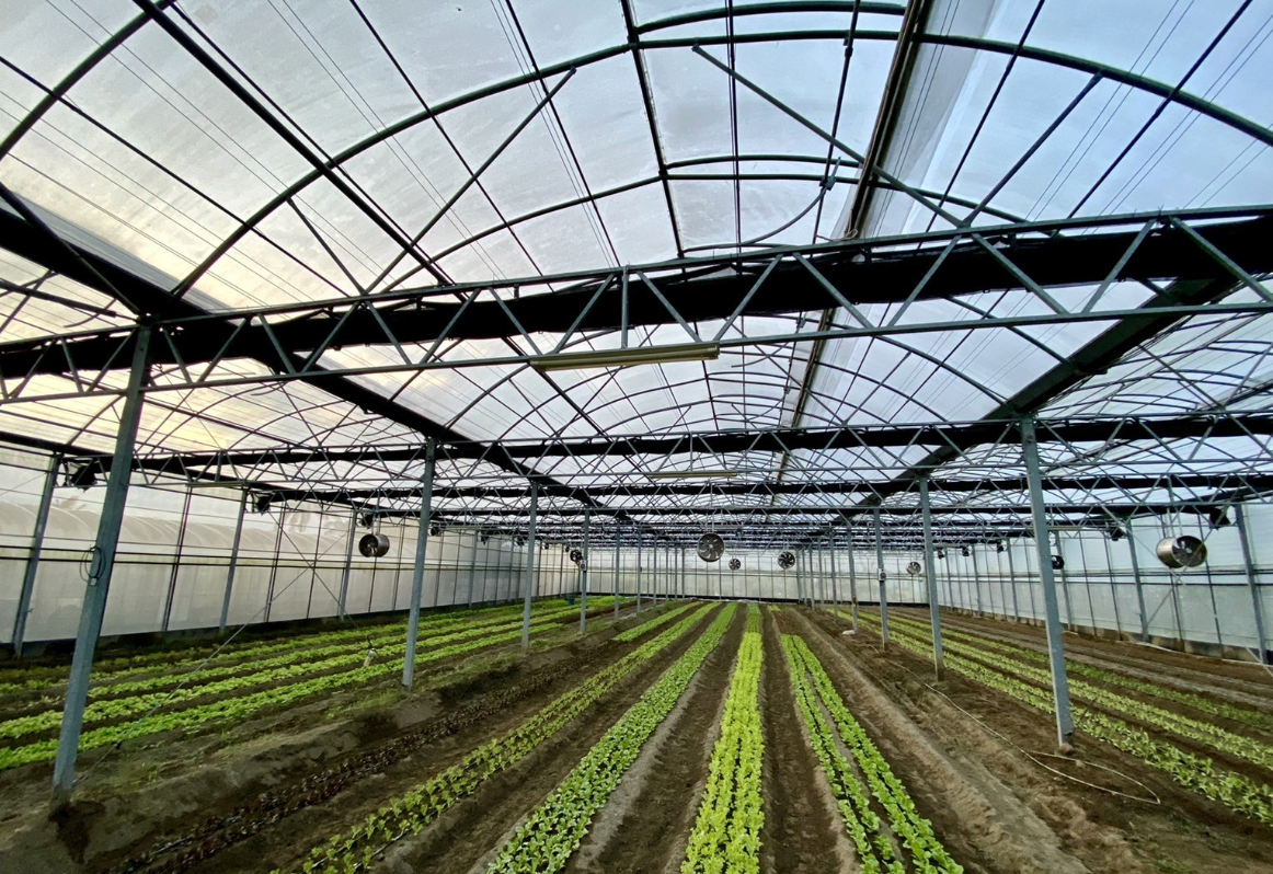 滿緣蔬菜下單處