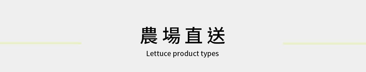 Lettuce Product Types