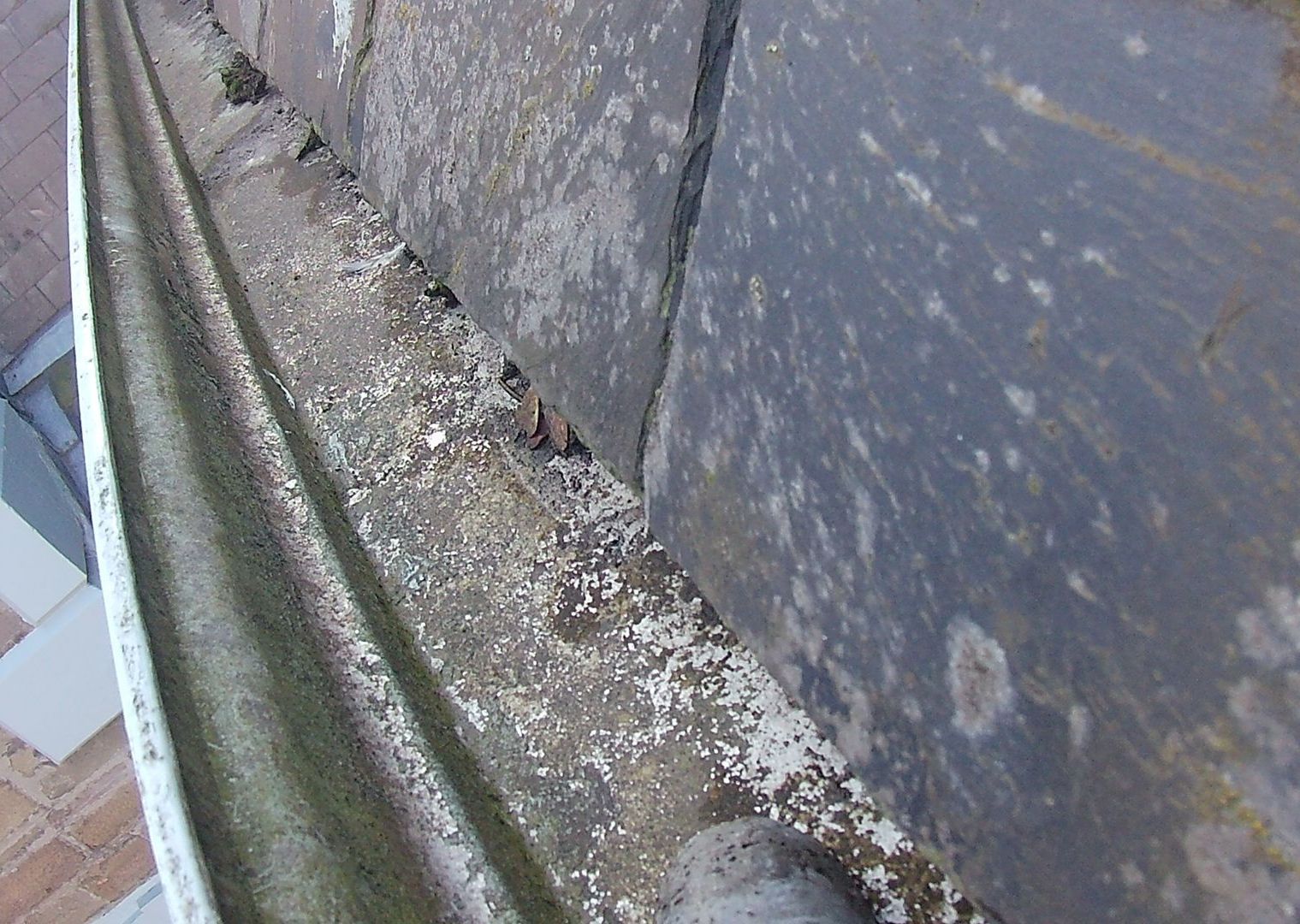 Gutter cleaning a home in Dundee