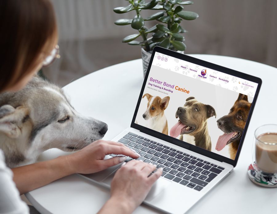 A woman is sitting at a table with two dogs and using a laptop computer looking at better bond canine