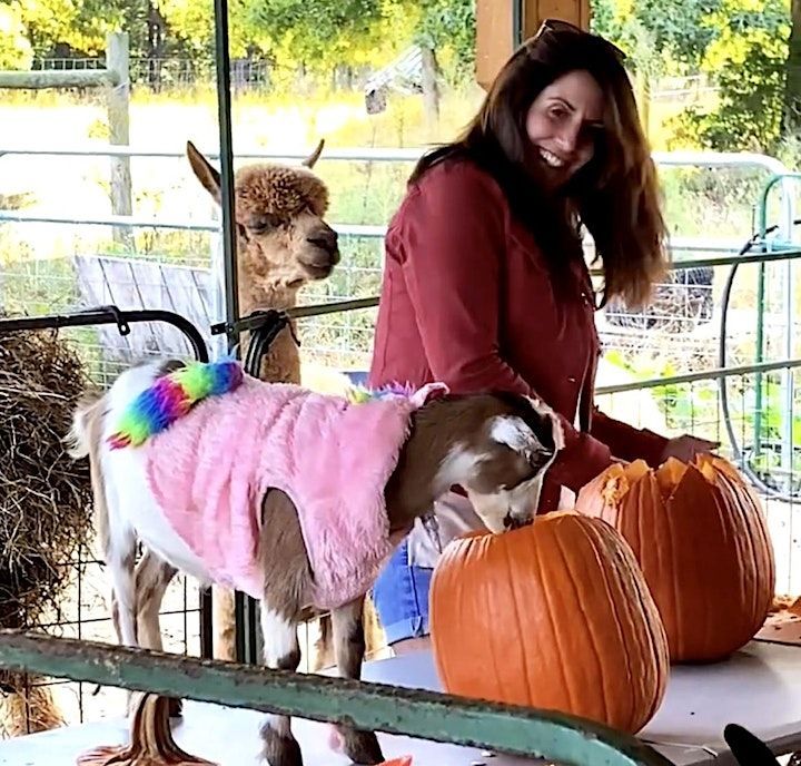 A woman is standing next to a goat and pumpkins