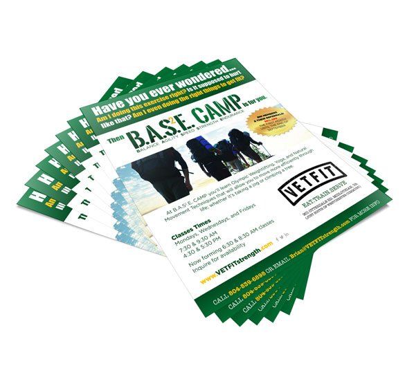 Vetfit Vetnet flyer design