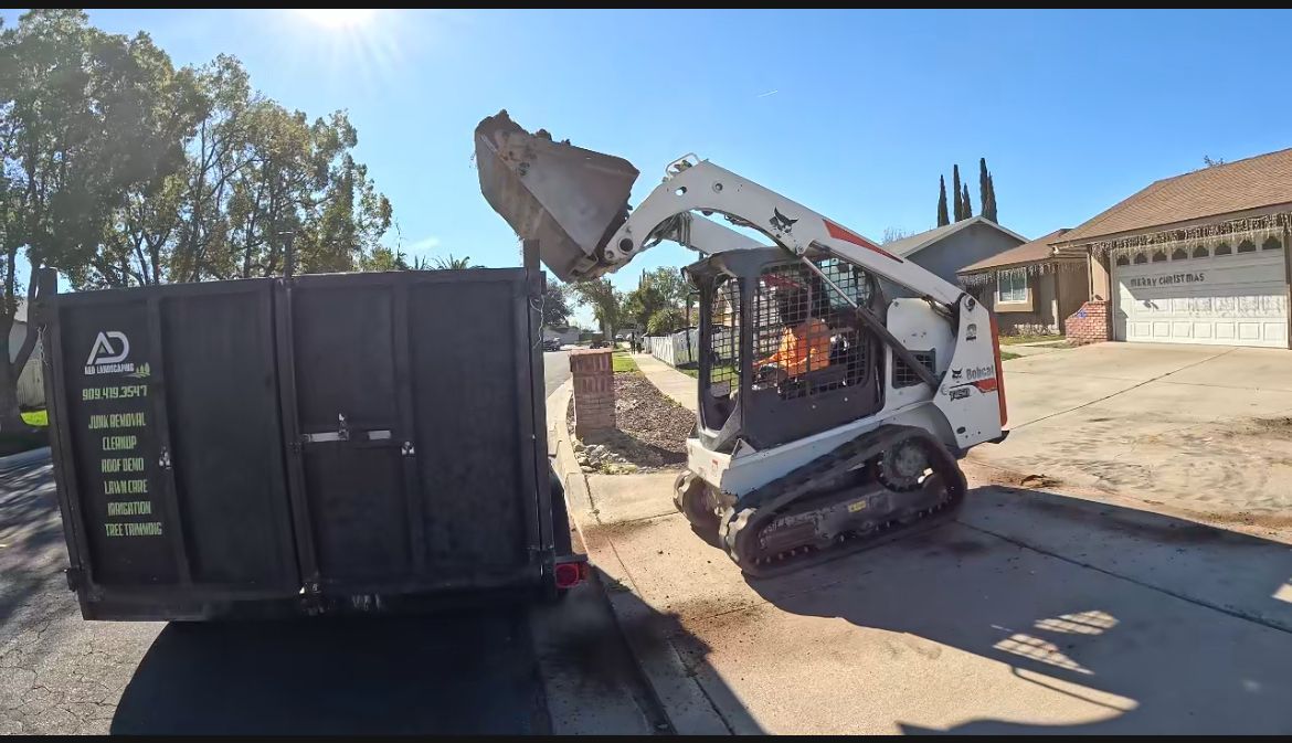 Bobcat skid steer loading debris into a dumpster on a sunny street.
