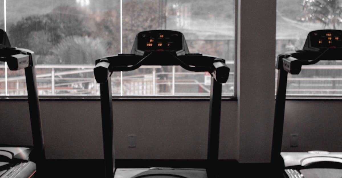 Treadmills lined up near a window, inside a gym.