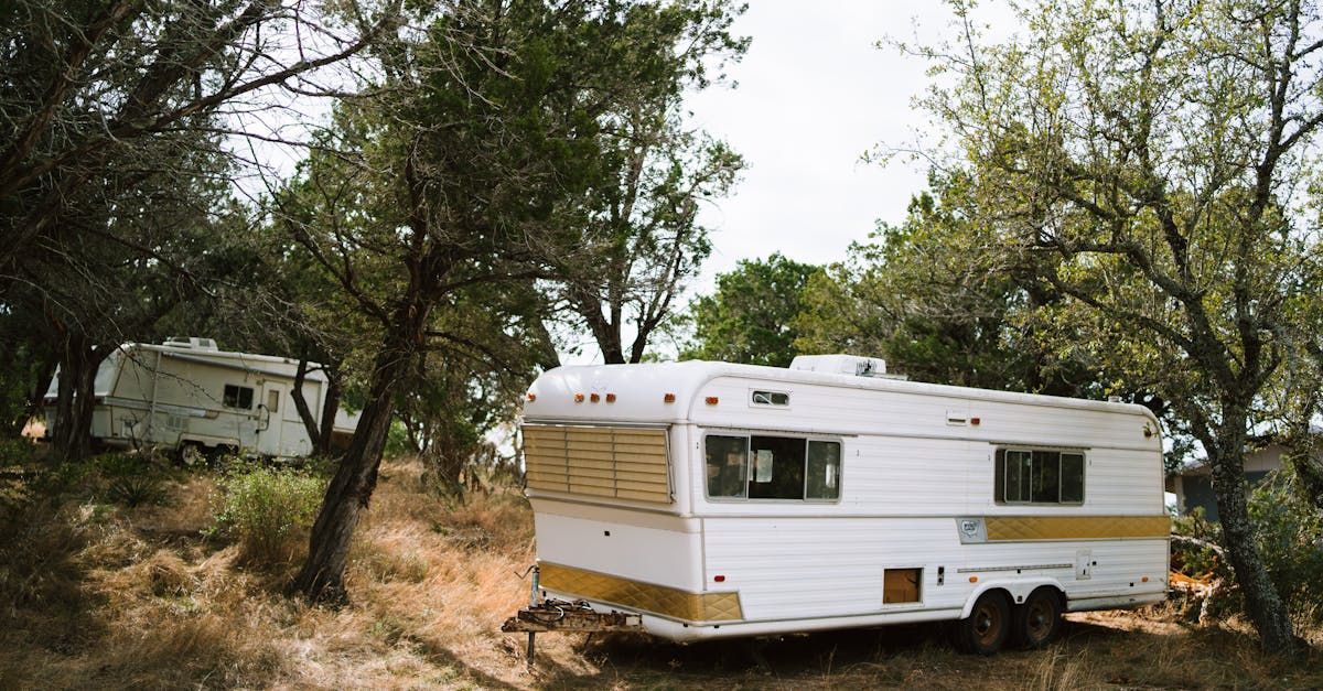 Two white trailers with tan trim sit among trees on a hillside.