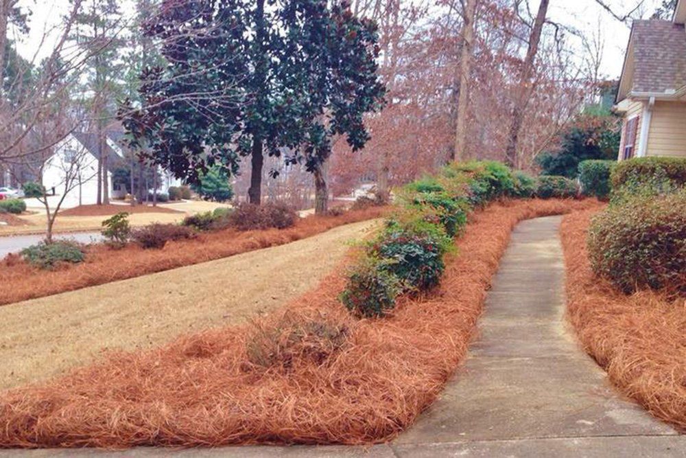 Pine Straw Sales Greensboro, NC