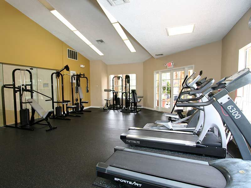 Gym interior with treadmills, weight machines, and a dark floor.