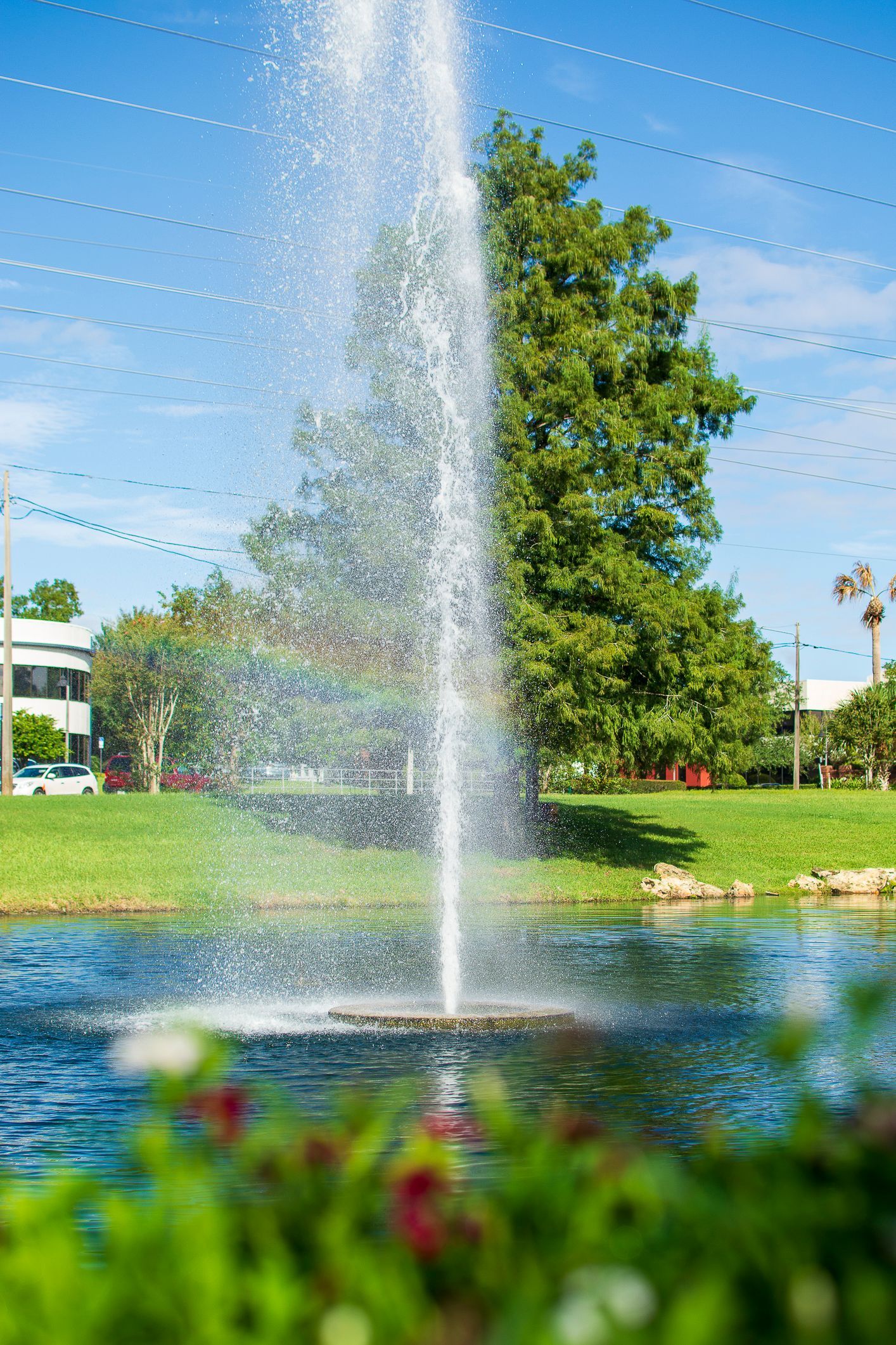 Fountain spraying water into a pond; green trees and blue sky in background.