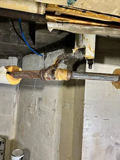 Pipes with insulation, a Y-joint, and a blue wire in a basement setting.