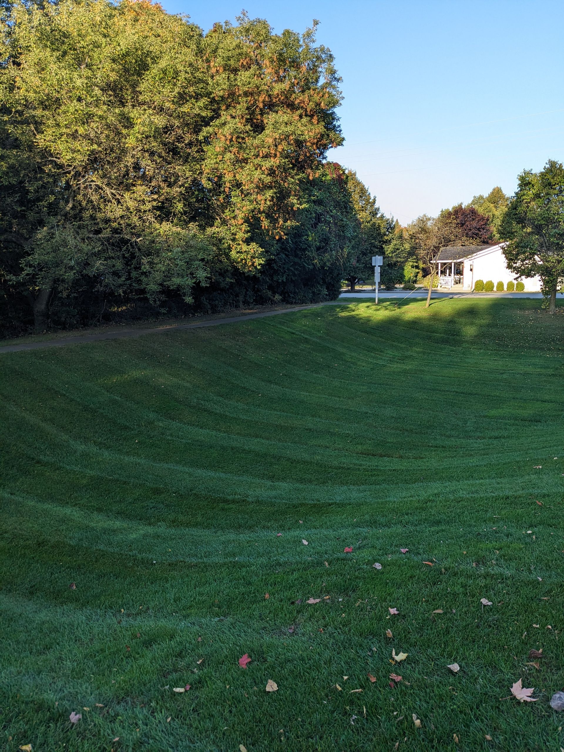 A lush green field with trees and a house in the background