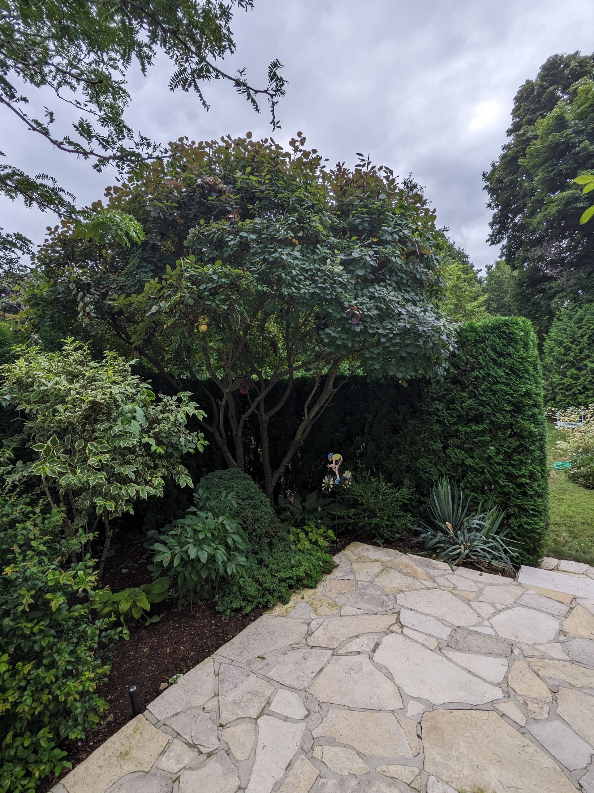 A stone walkway surrounded by trees and bushes on a cloudy day