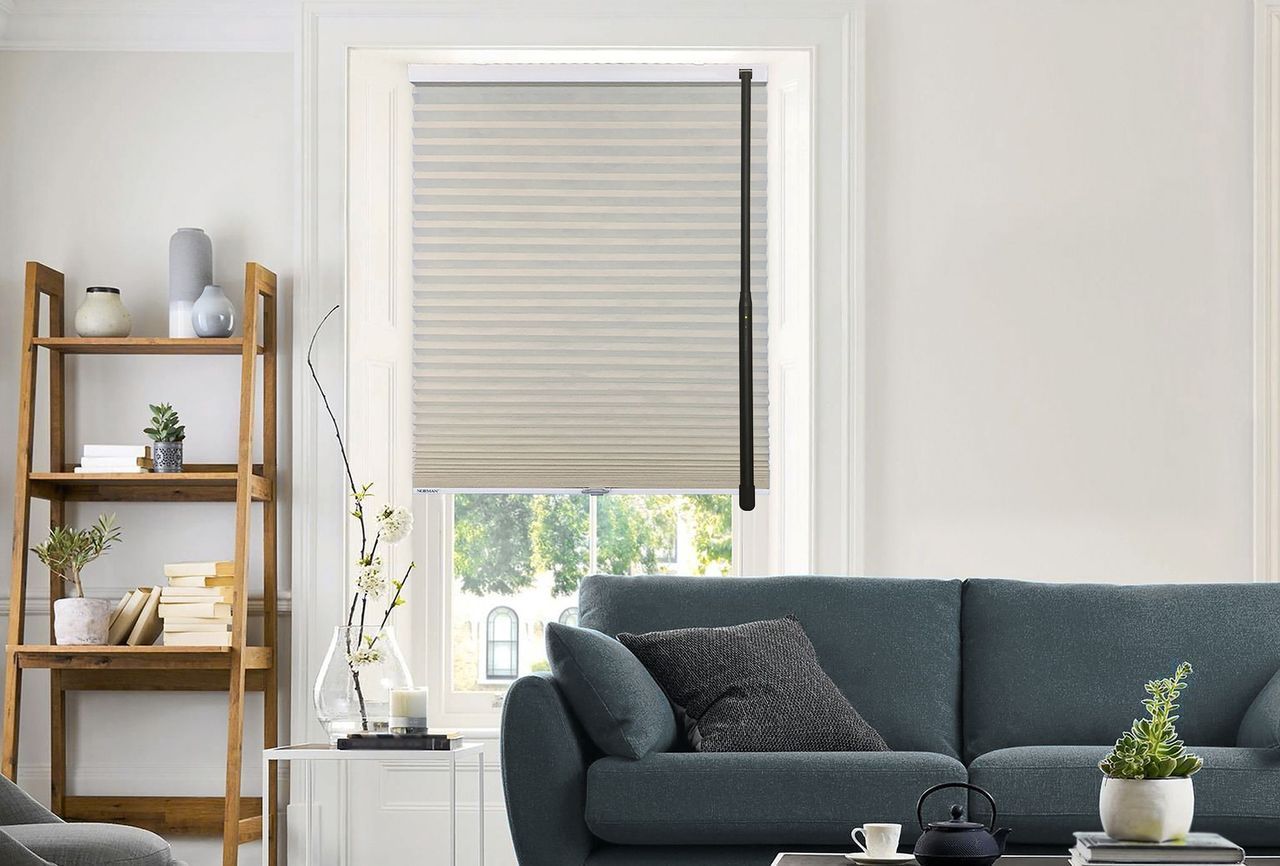A living room with a pleated window shade, a dark blue sofa, and a wooden bookshelf with plants and decorative items.