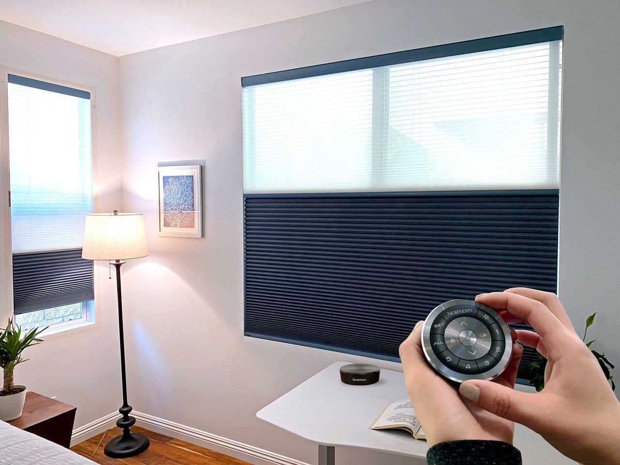 Hands holding a circular remote to adjust two-toned, cordless, pleated shades on windows in a home office setting.
