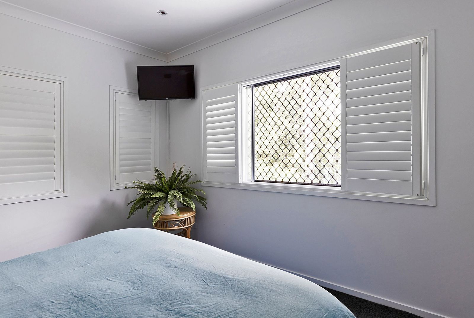 A light blue bed sits in a corner room with white walls, window shutters, a green houseplant, and a wall-mounted TV.