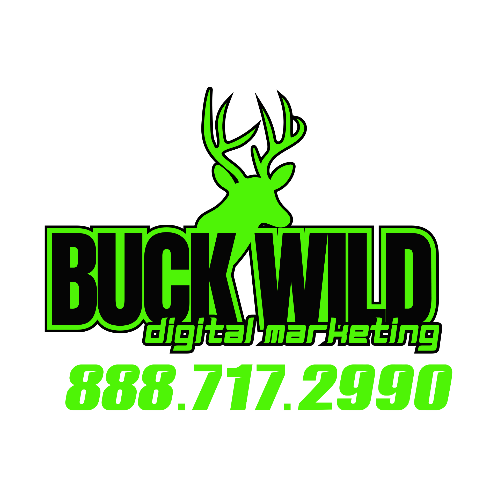 Buck Wild Digital Marketing Elevate Online Presence