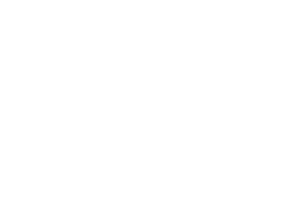 Vera Wang logo