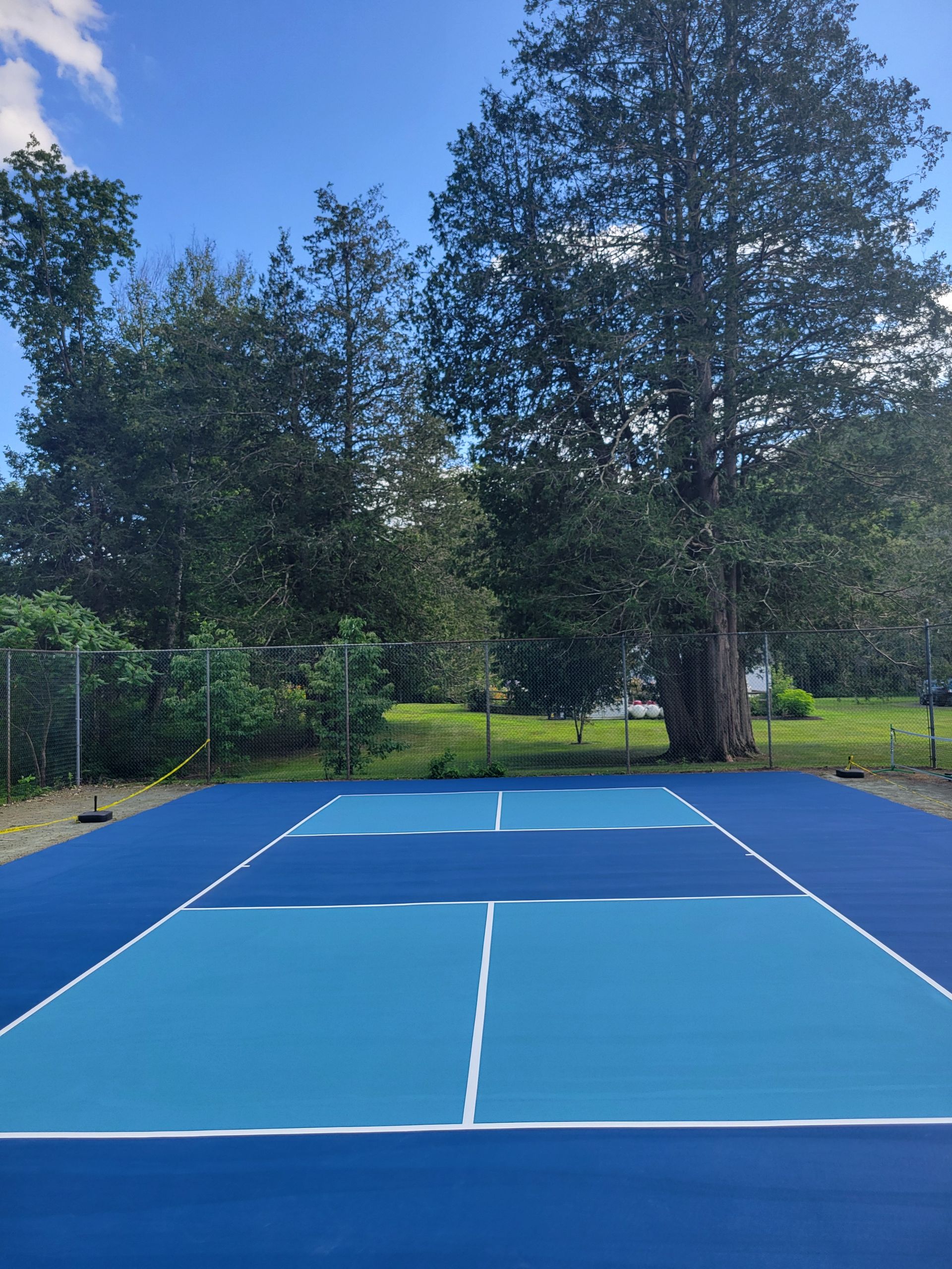 Blue and light blue pickleball court with white lines, trees in the background, on a sunny day.