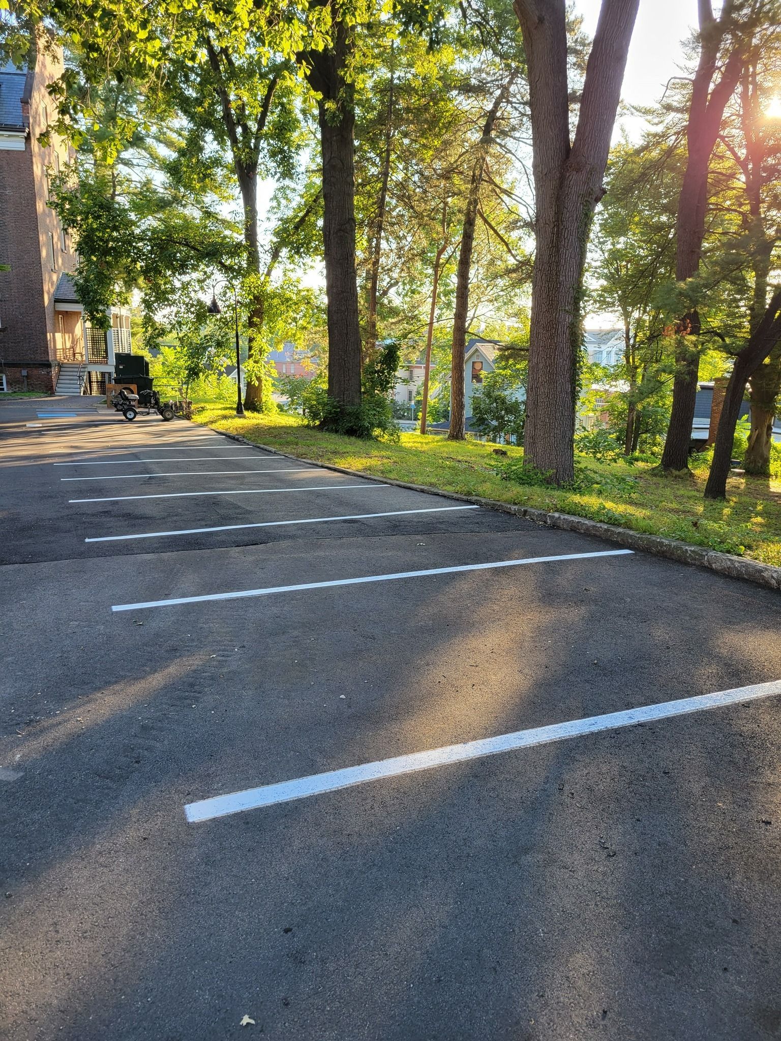 Asphalt parking area with white lines. Trees and a building are in the background. Sunny day.