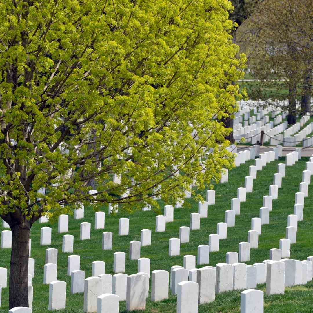 Arlington cemetery in Washington, D.C. 
