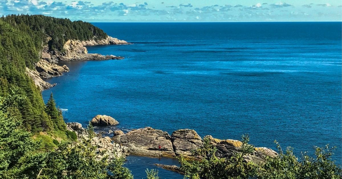 Scenic rocky coastline with evergreen trees and calm blue waters along the coast of Nova Scotia, Canada.