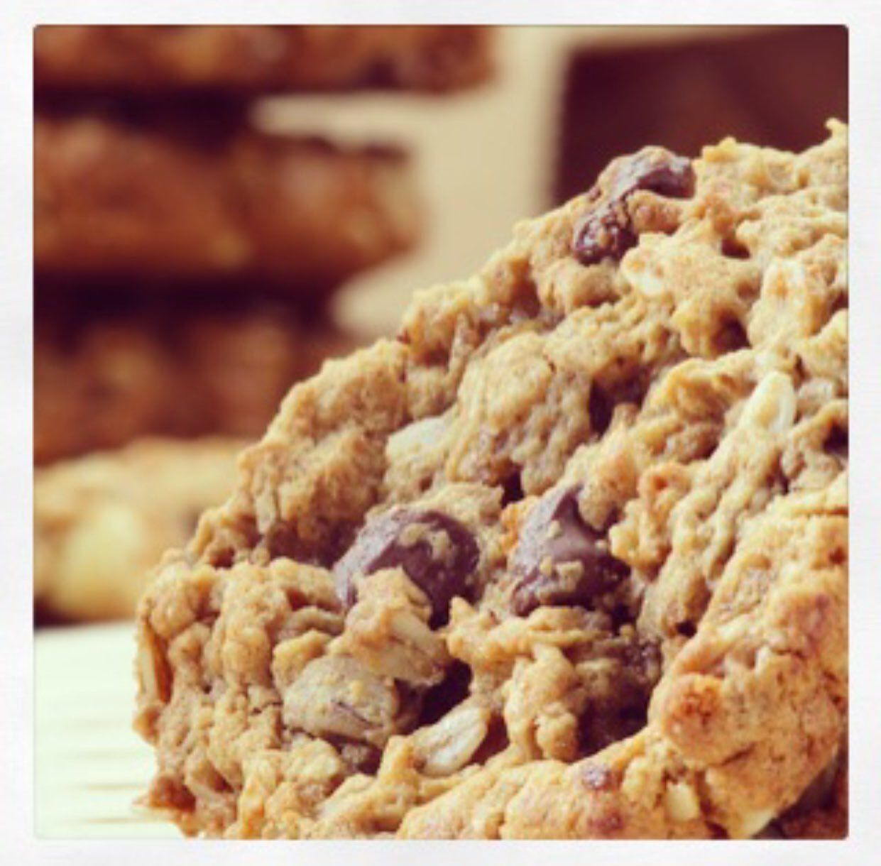 Chocolate Chip Pecan Cookie