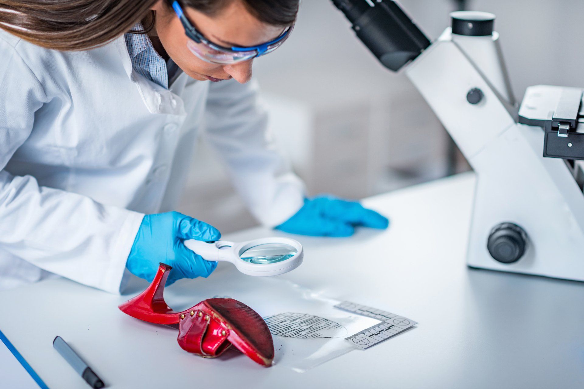 sex crime bail bonds