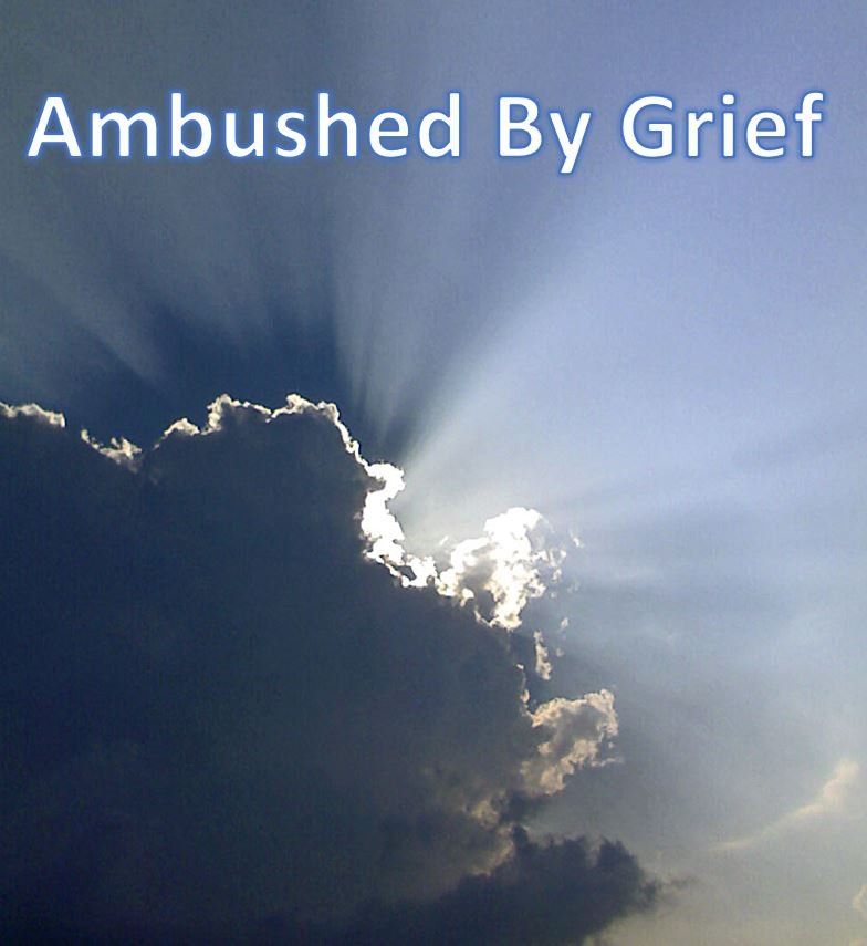 Questioned Answered About Ambushed Grief and Loss and Death