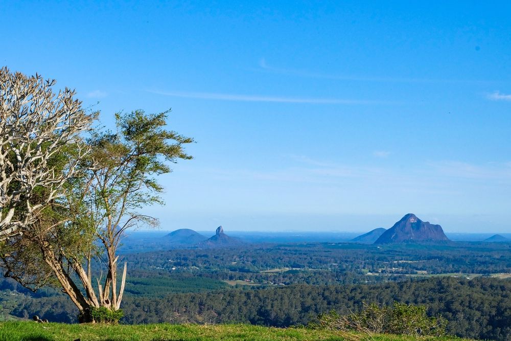 There Is A Tree In The Foreground And A Mountain In The Background — Aquaman Watàr Deliveries In Sunshine Coast Hinterland, QLD