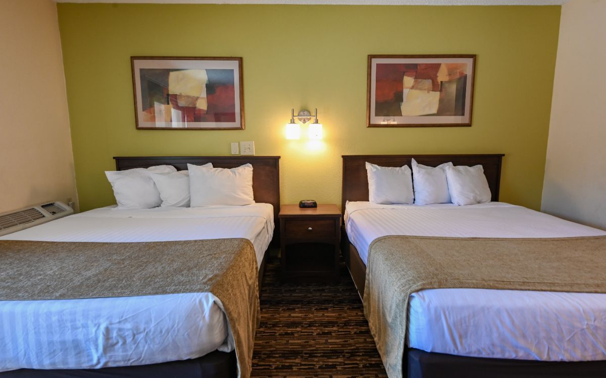 Two hotel beds with white linens, brown blankets, and artwork on a yellow-green wall.