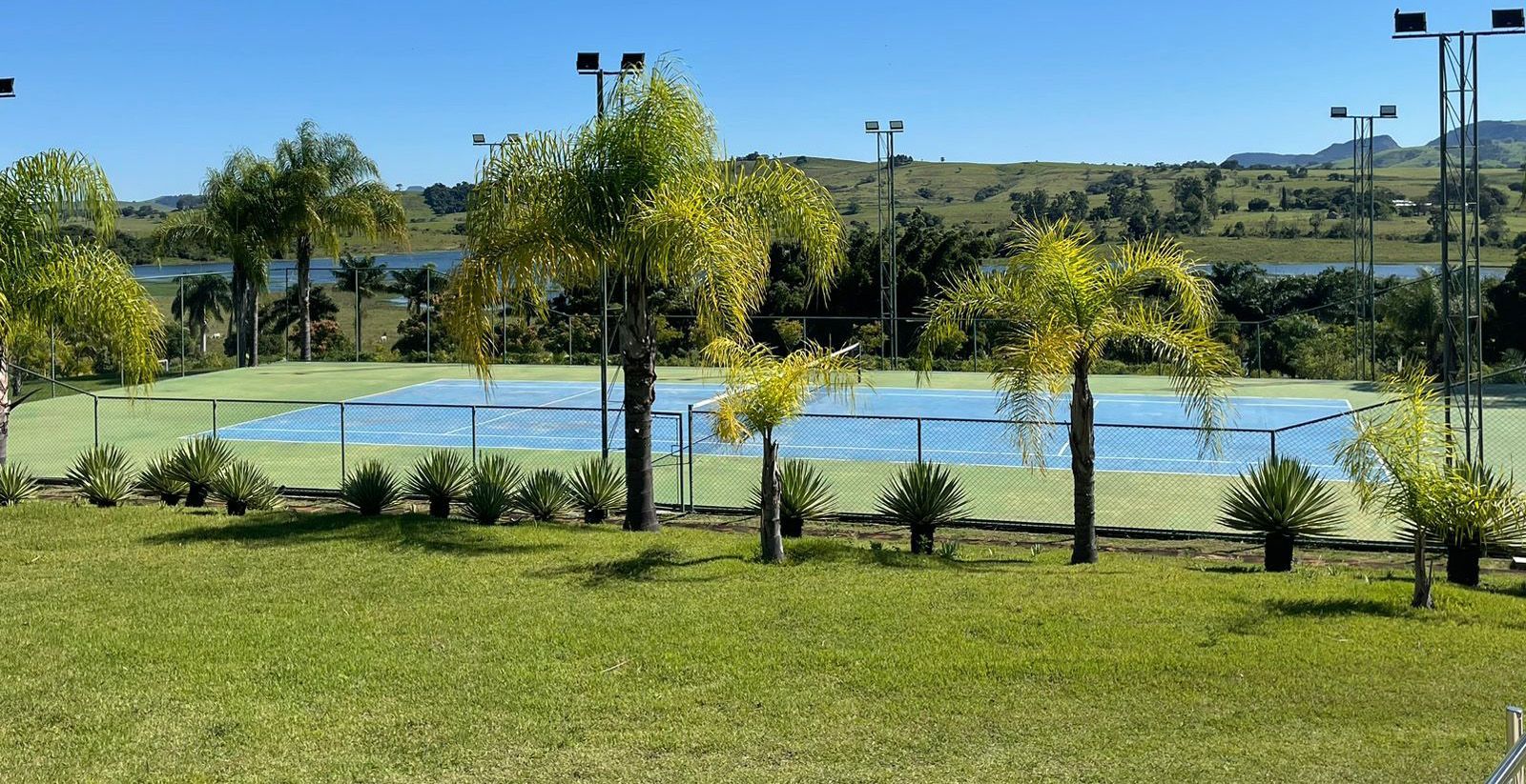 Quadra de tênis com grama verde, palmeiras e um lago ao fundo sob um céu azul.