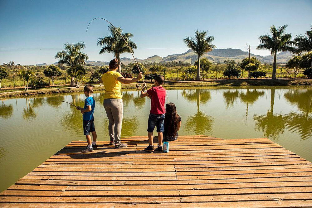 Família pescando em um píer de madeira em um lago em um dia ensolarado.