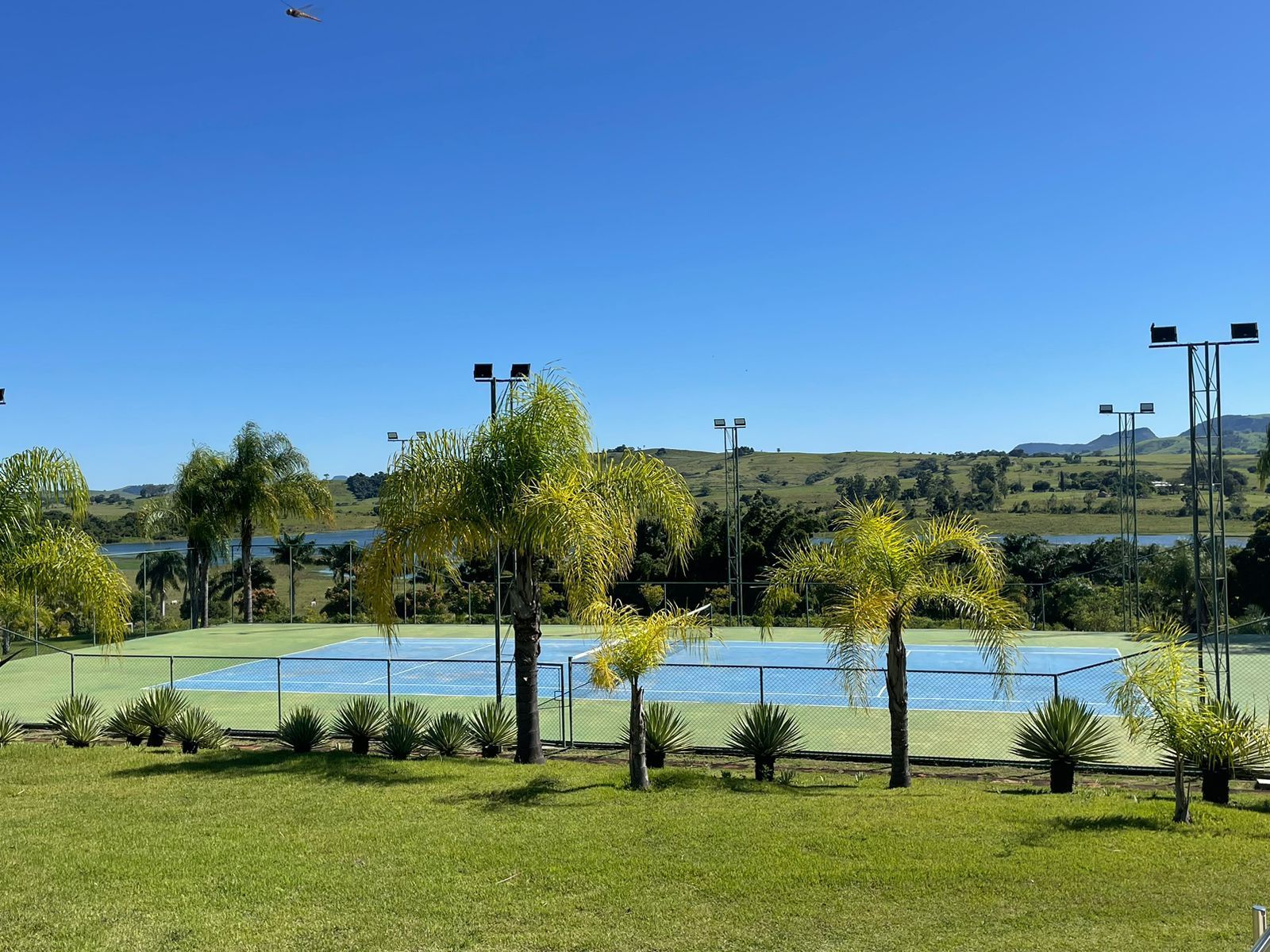 Quadra de tênis sob um céu nublado com palmeiras, superfície azul e postes de luz altos.