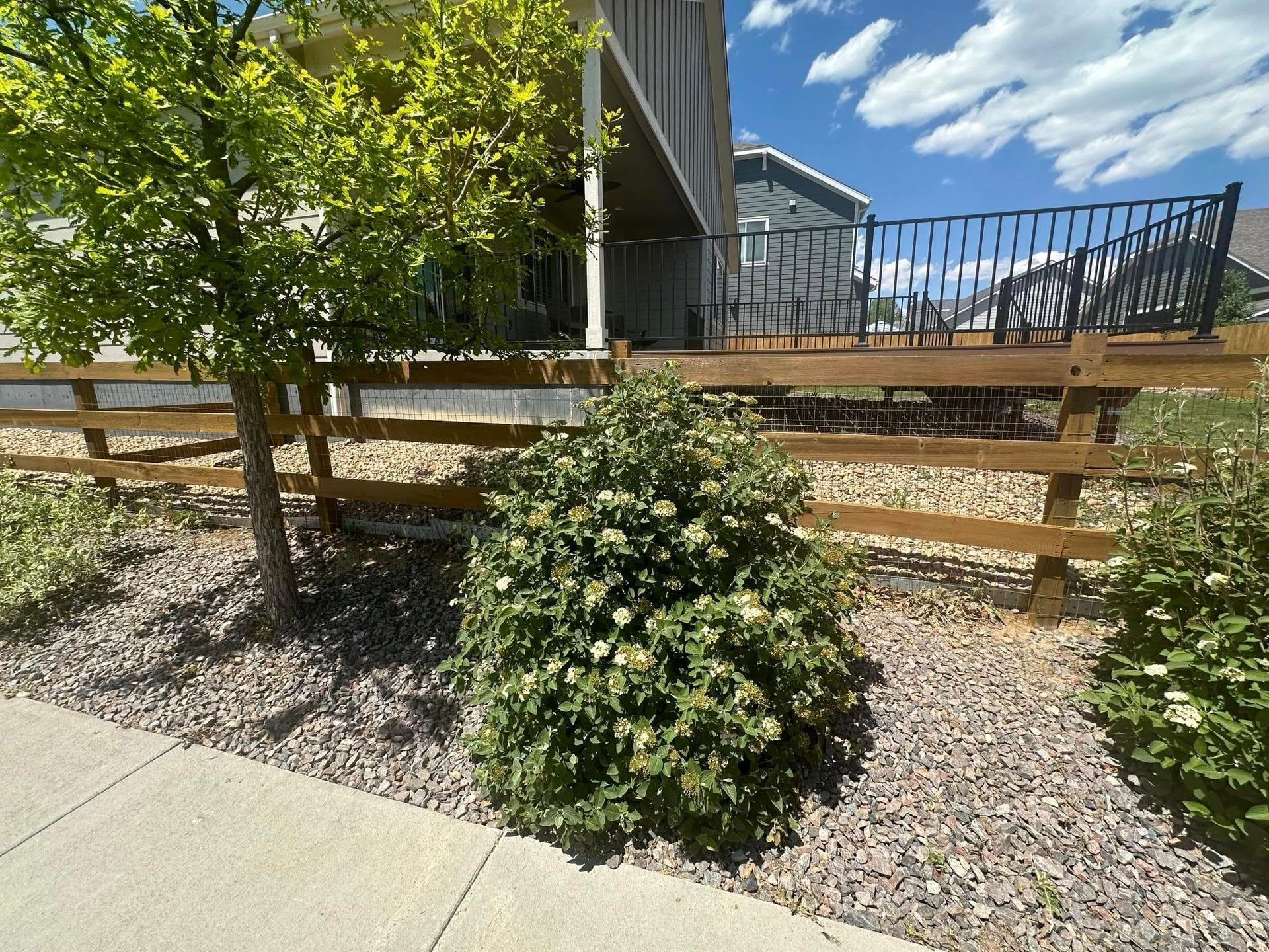 A wooden fence is surrounded by bushes and trees in front of a house.