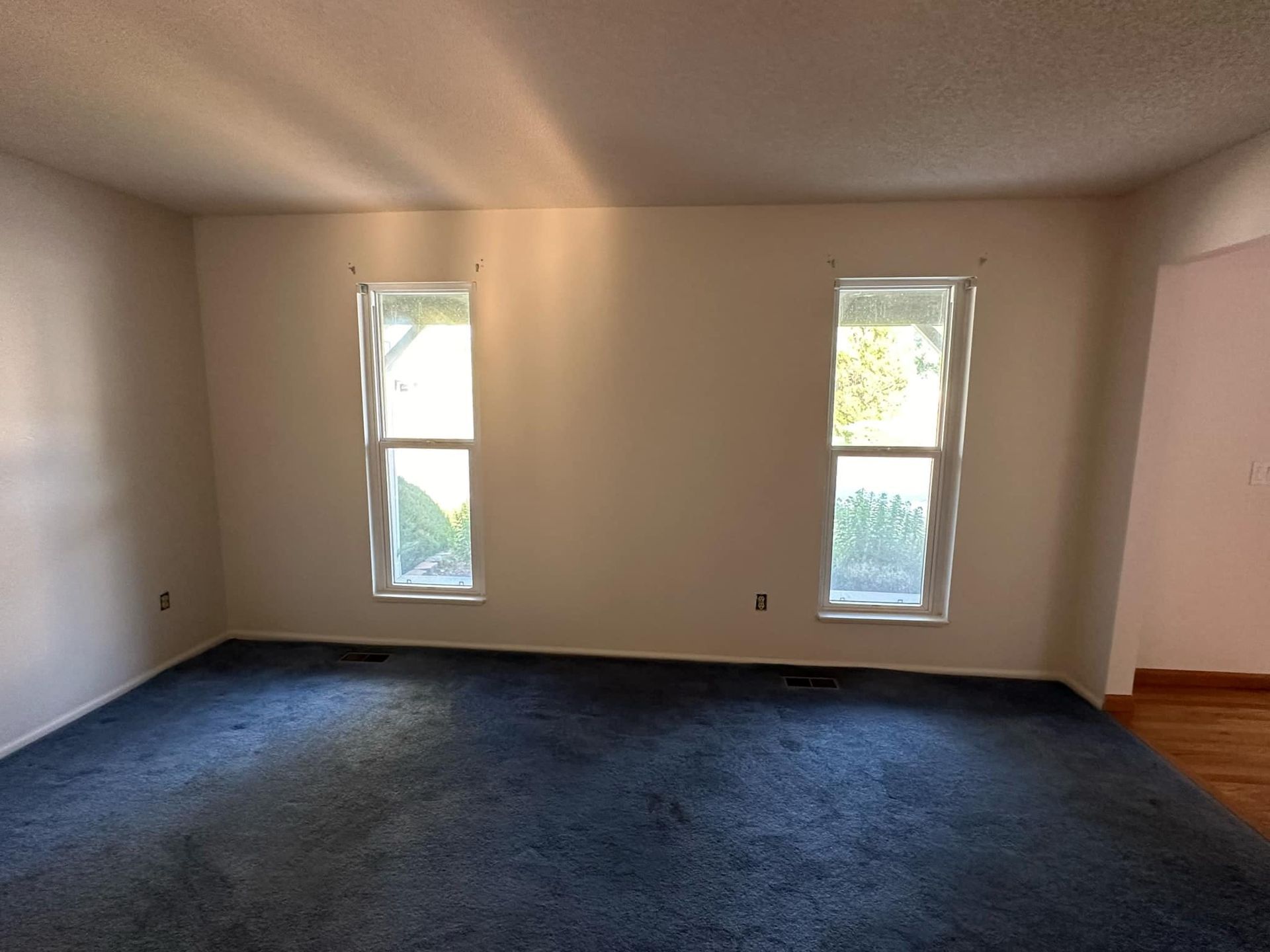 An empty living room with two windows and a blue carpet.