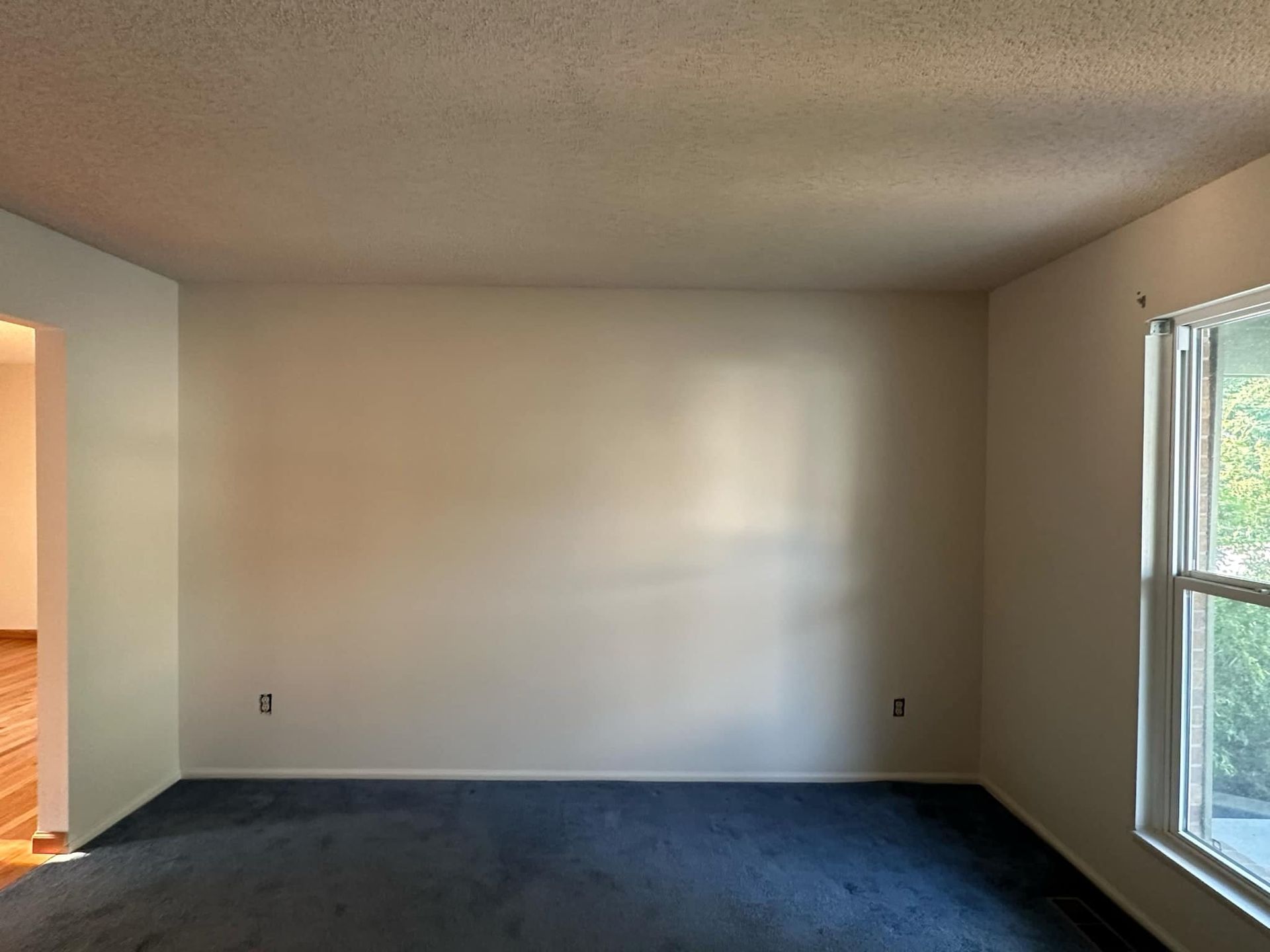 An empty living room with a blue carpet and a window