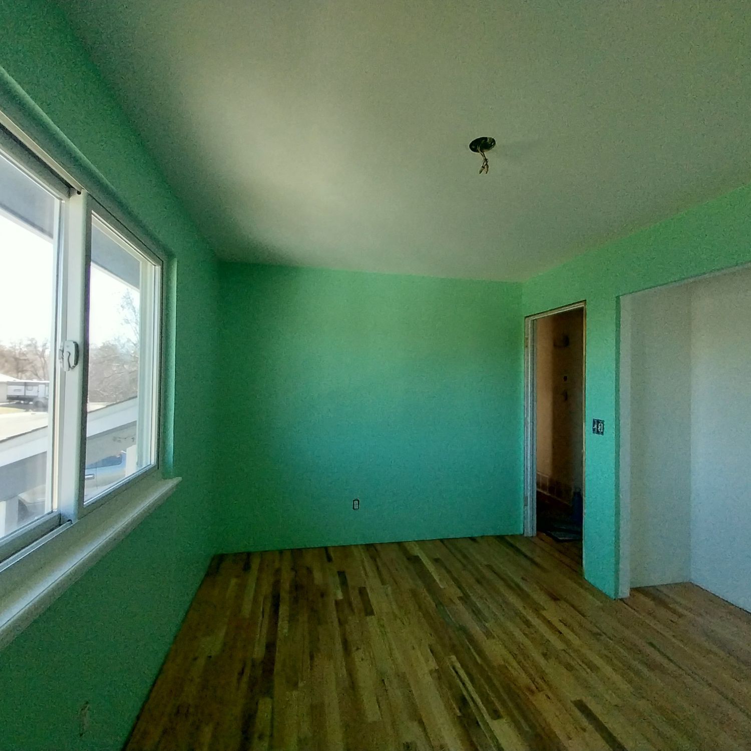 An empty room with green walls and wooden floors